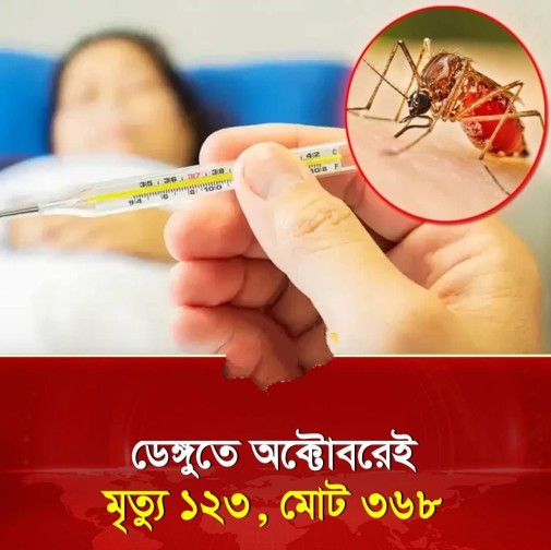 সারাদেশে ডেঙ্গুর তাণ্ডব অব্যাহত  রয়েছে,২২ দিনে ১২৩ জনের মৃত্যু শত শত আক্রান্ত